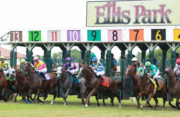 Ellis Park Entries: Latest Race Entries, Picks, and Results