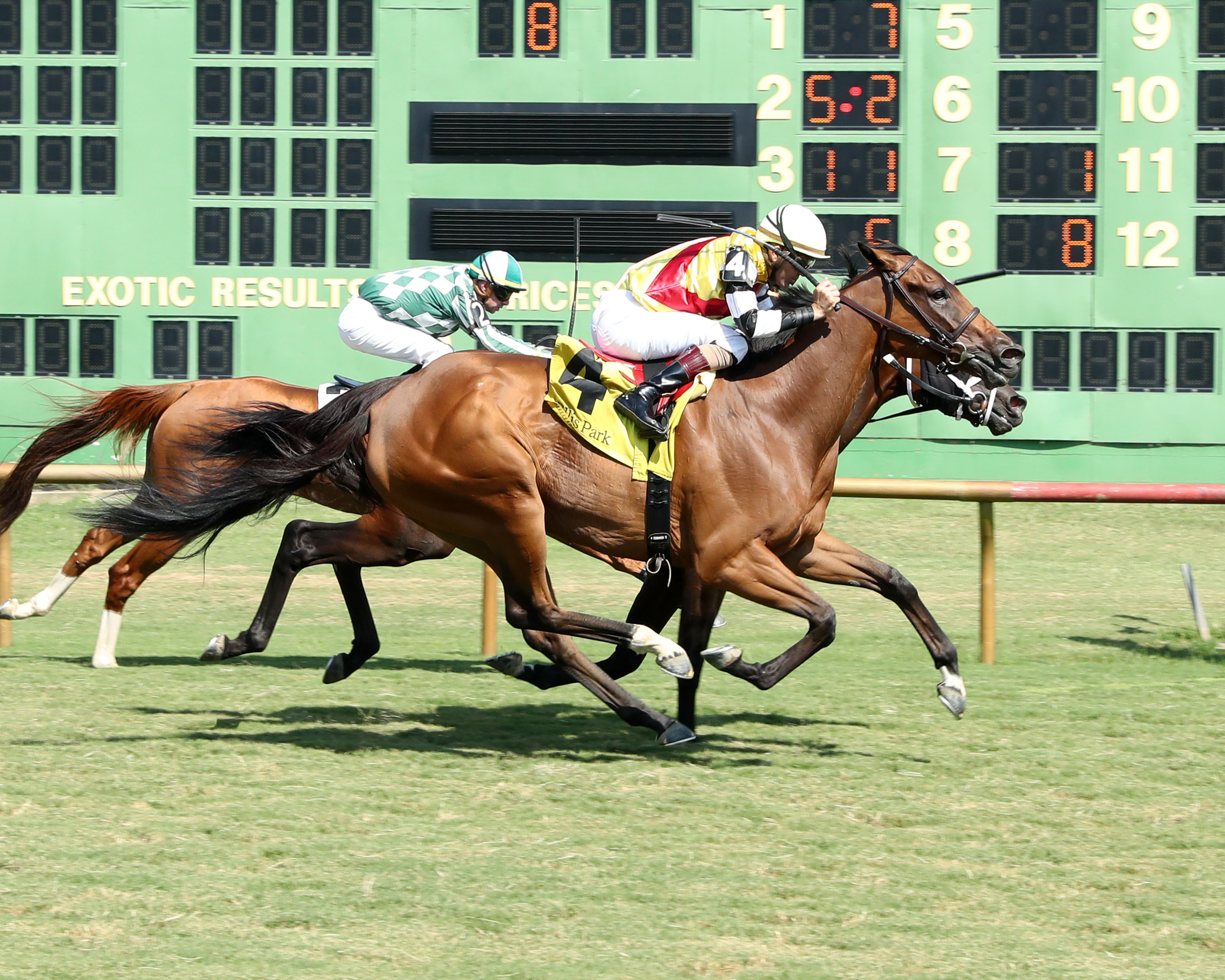 Ellis Park Entries: Latest Race Entries, Picks, and Results