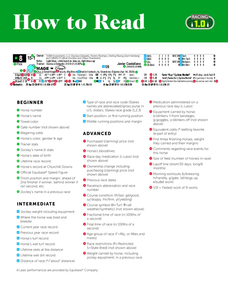 Comprehensive Guide to Horse Stats: What Every Race Enthusiast Needs to Know