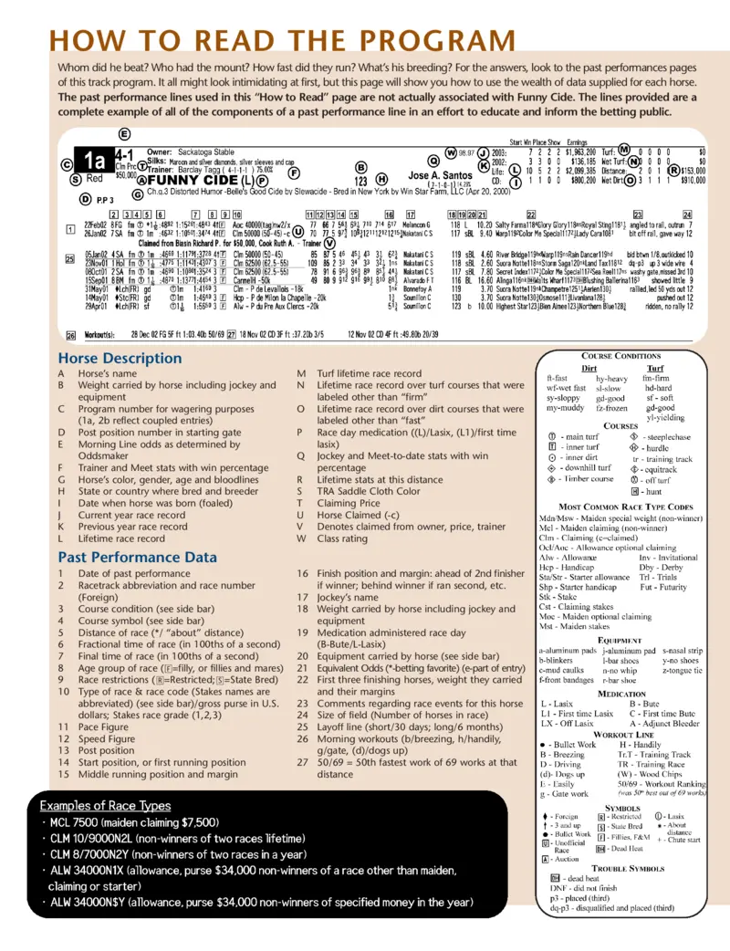 Comprehensive Guide to Horse Stats: What Every Race Enthusiast Needs to Know