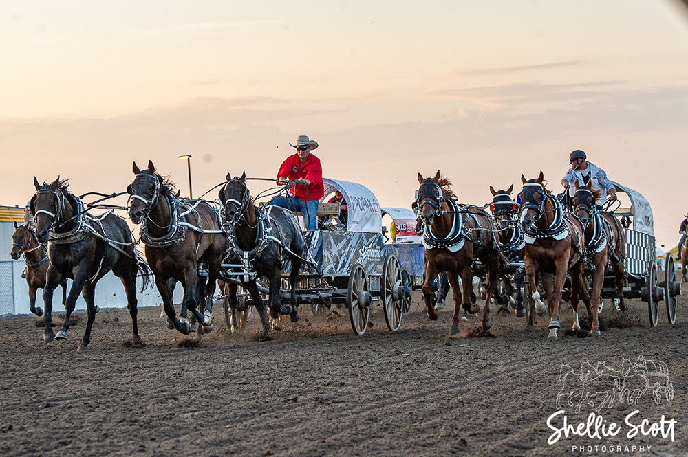 Century Downs Harness Racing: Top Drivers Leaderboard