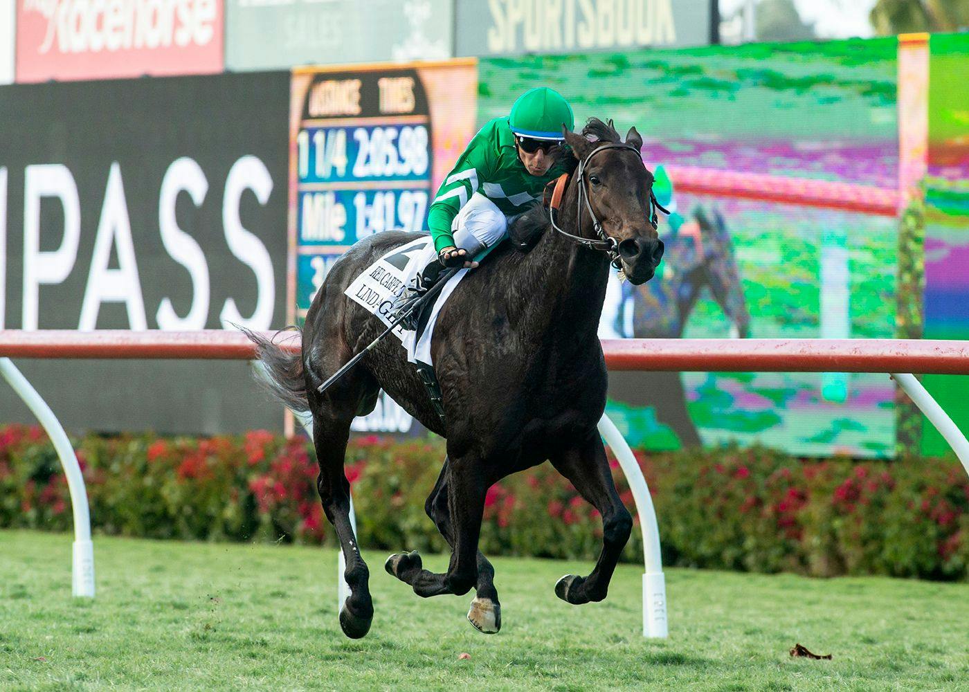 Discover Del Mar Entries: Full List of Horses and Race Times