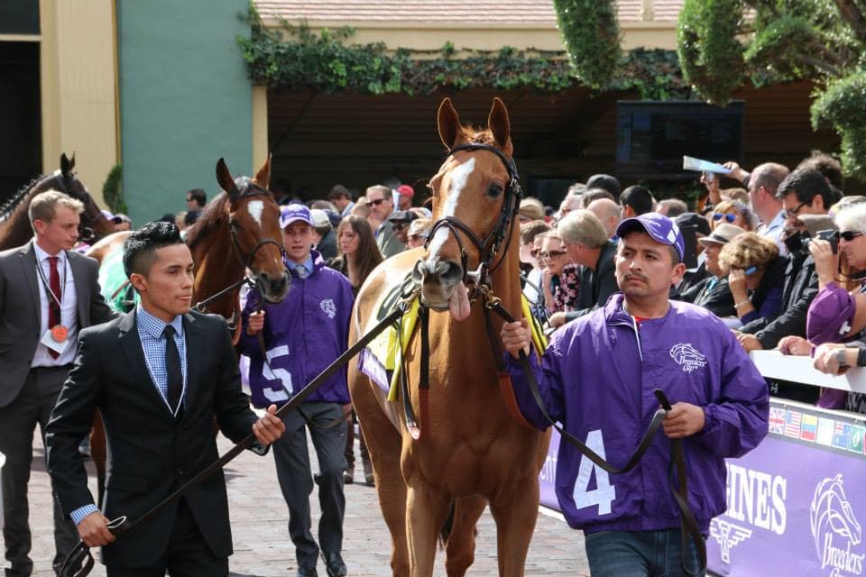 Dayatthespa: A Champion Thoroughbred's Rise to Glory in Horse Racing