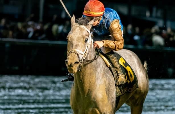 Laurel Park Entries and Results for November 23, 2024 - Expert Picks & Tips