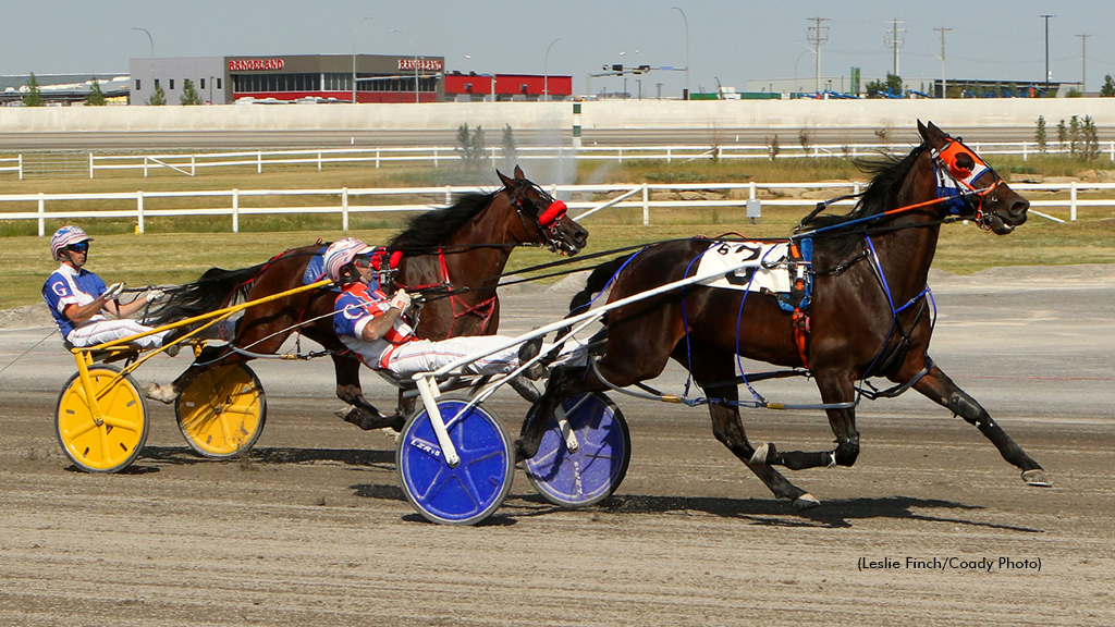 Century Downs Harness Racing: Top Drivers Leaderboard