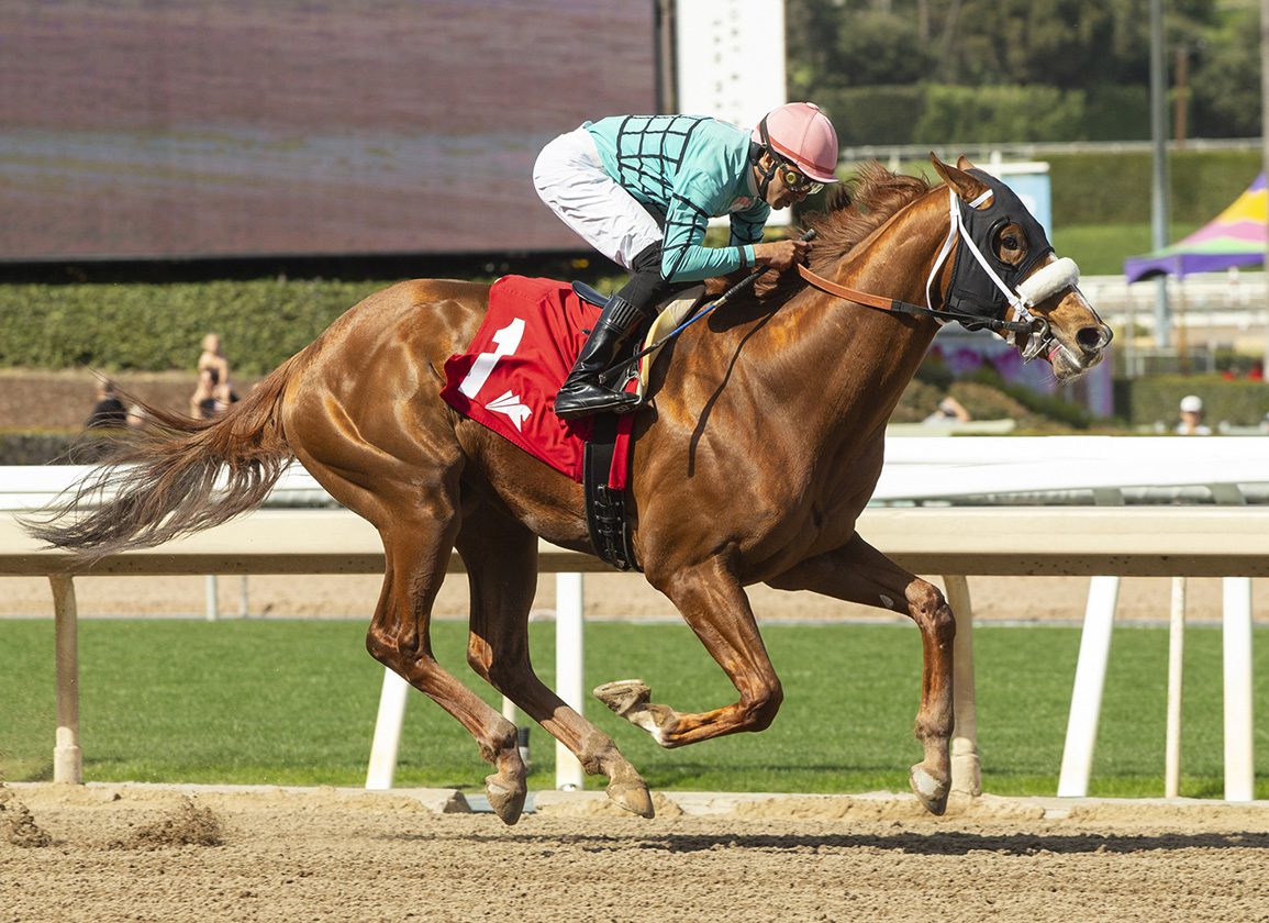 Vlahos Thoroughbred: Latest Results, Pedigree, and Racing Stats