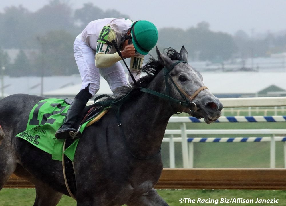 Laurel Park Entries and Results for November 23, 2024 - Expert Picks & Tips