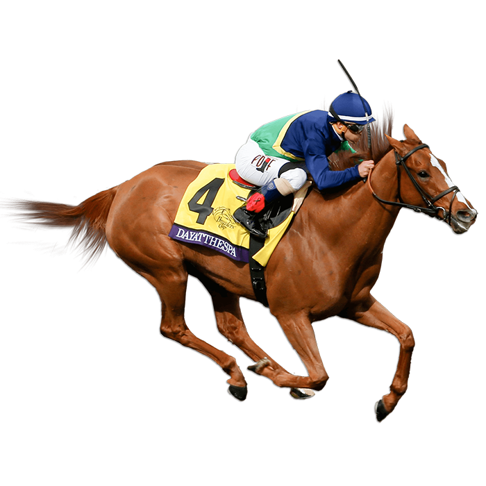 Dayatthespa: A Champion Thoroughbred's Rise to Glory in Horse Racing