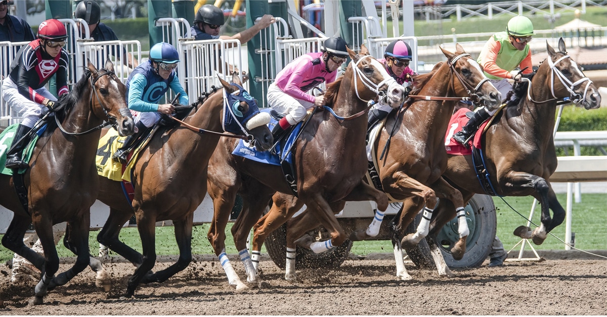 Comprehensive Racing Horse Stats for Successful Race Predictions