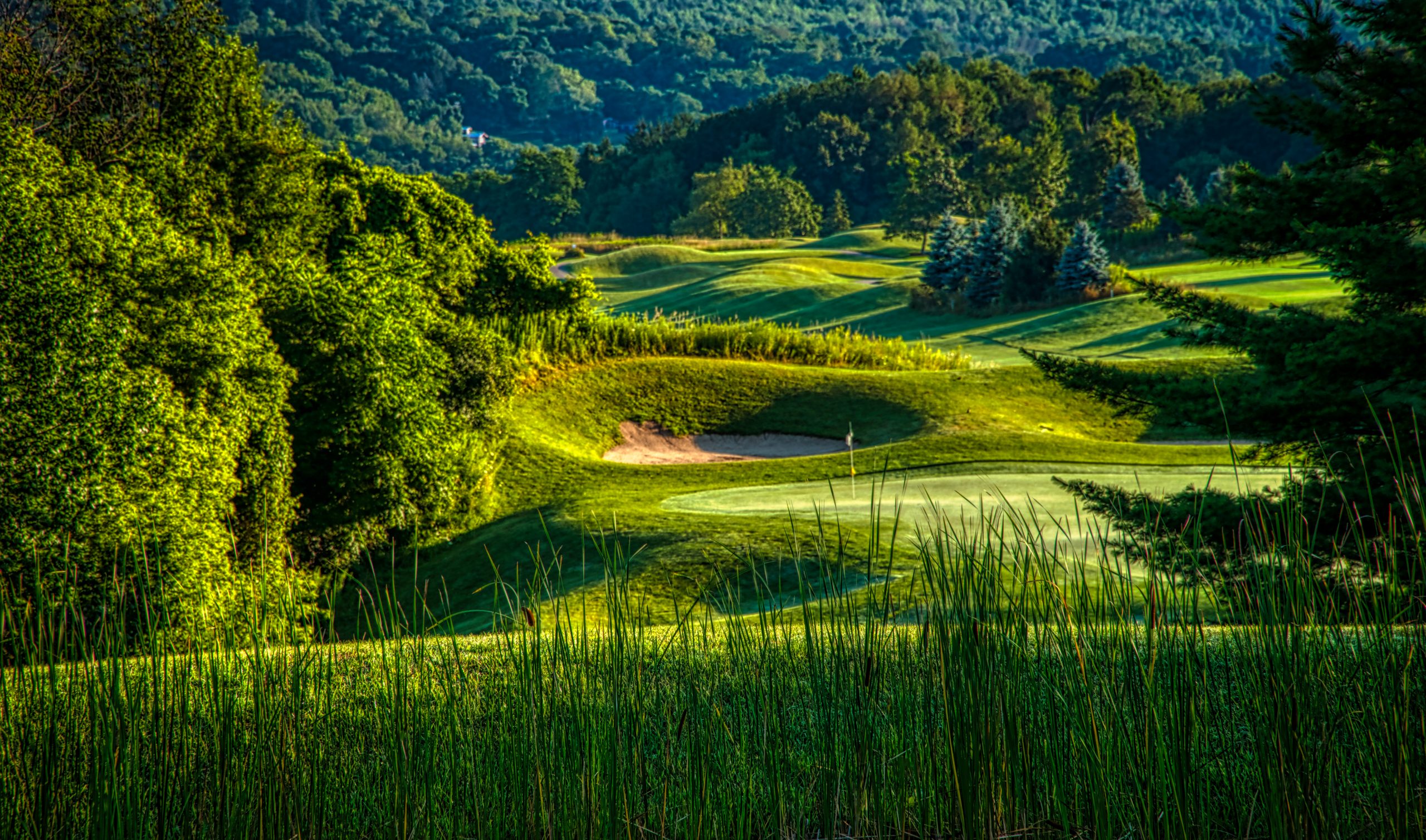 Explore Reservoir Creek in Naples, NY – Perfect Golfing Destination in the Bristol Hills