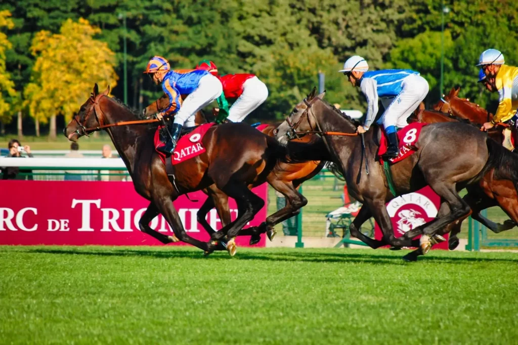 Comprehensive Racing Horse Stats for Successful Race Predictions