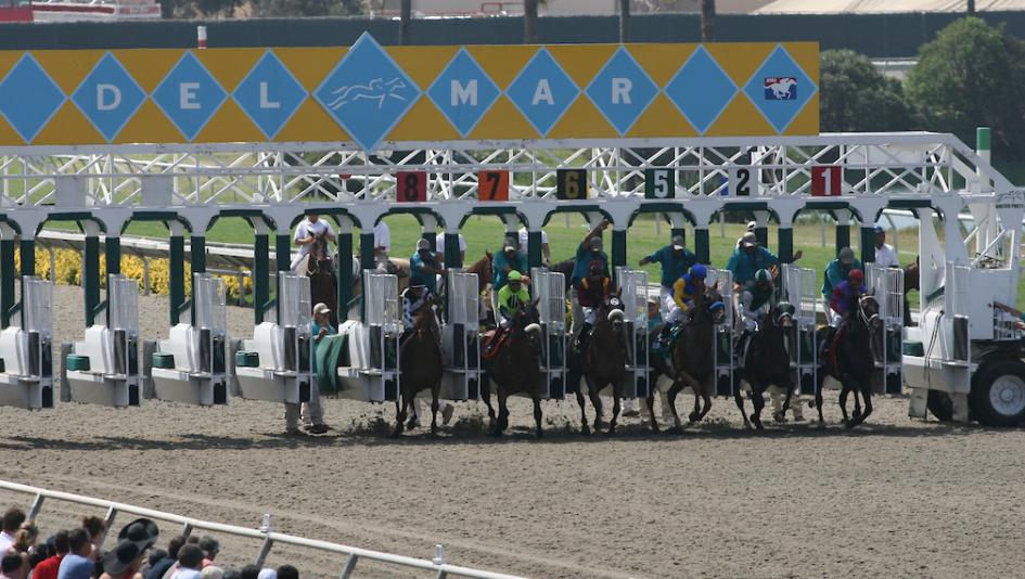 Del Mar Horse Racing Entries & Results | Equibase Insights for Today