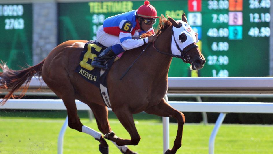 Dayatthespa: A Champion Thoroughbred's Rise to Glory in Horse Racing