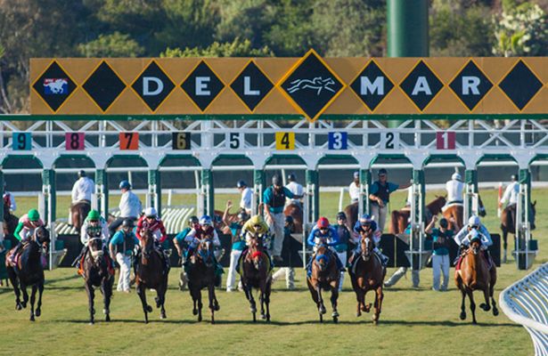 Discover Del Mar Entries: Full List of Horses and Race Times