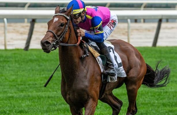 Chasing History: The Quest for a Three-Peat in Horse Racing