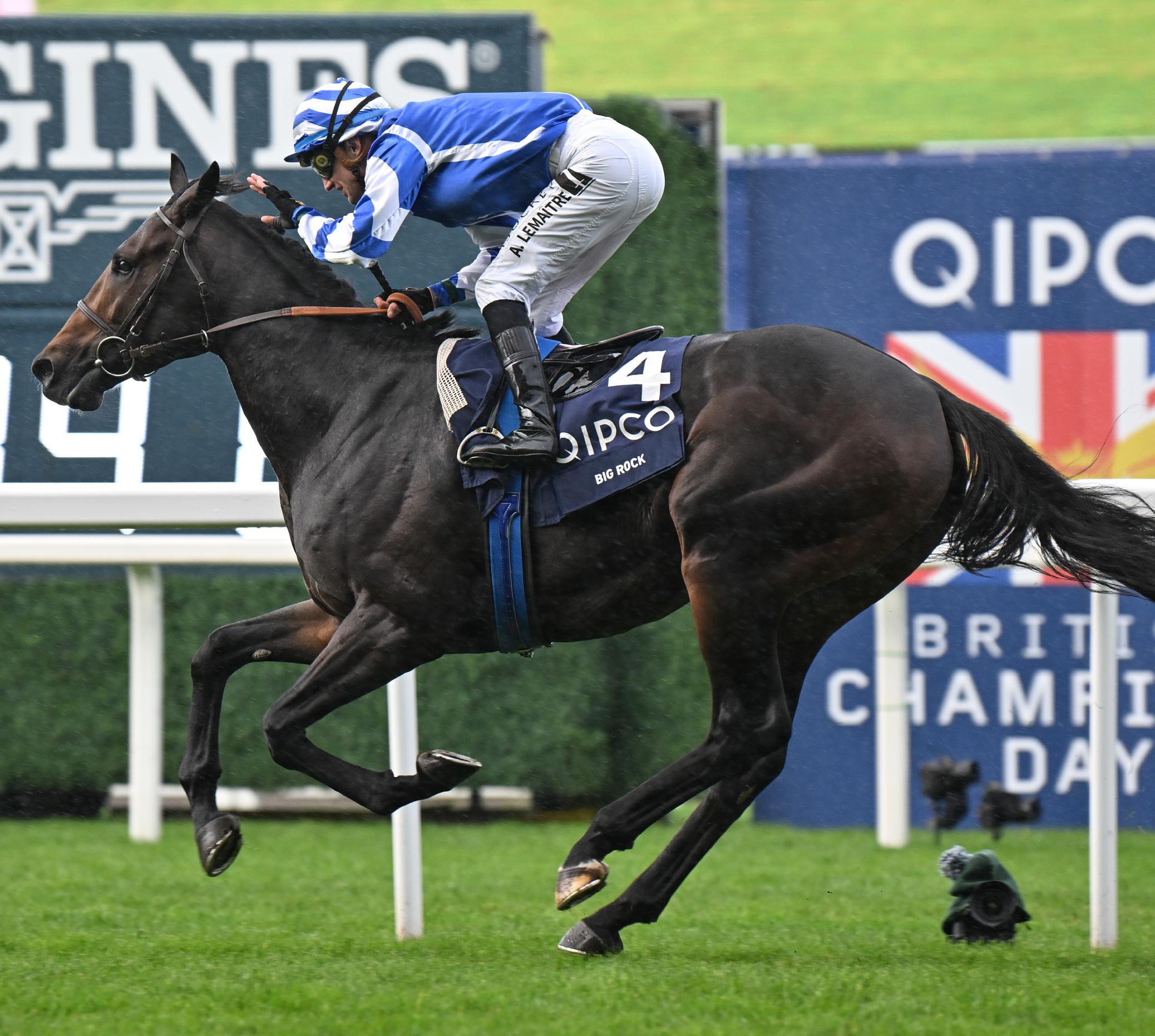 Discover Bobby Lees Horse Racing History and Legendary Mount