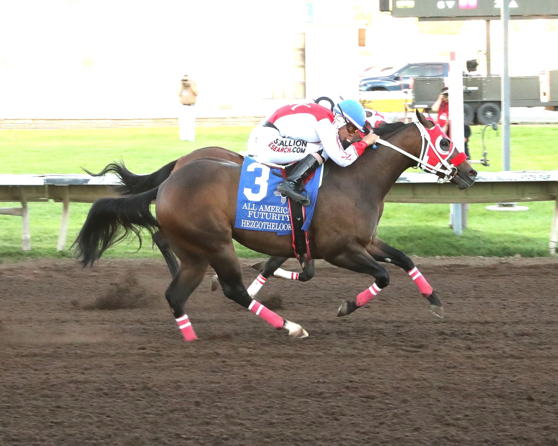 Hezgothelook Z Horse: Stats, Pedigree, and Racing Highlights