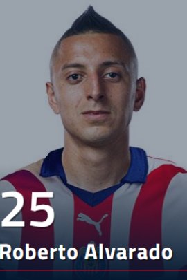 Looking for Roberto Alvarado Stats? Heres a Complete Breakdown