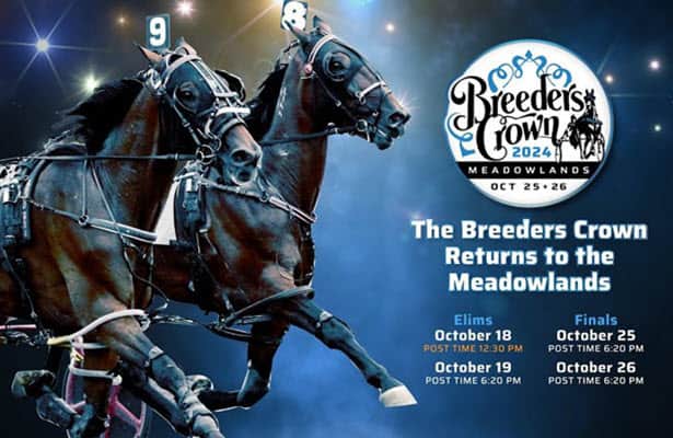 Get the Latest Meadowlands Race Results (Easy-to-Read List of Winners)