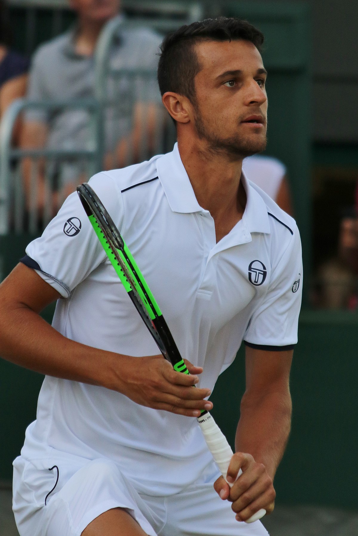 Mate Pavic Tennis: All About the Doubles Legend (Everything you need to know about him)