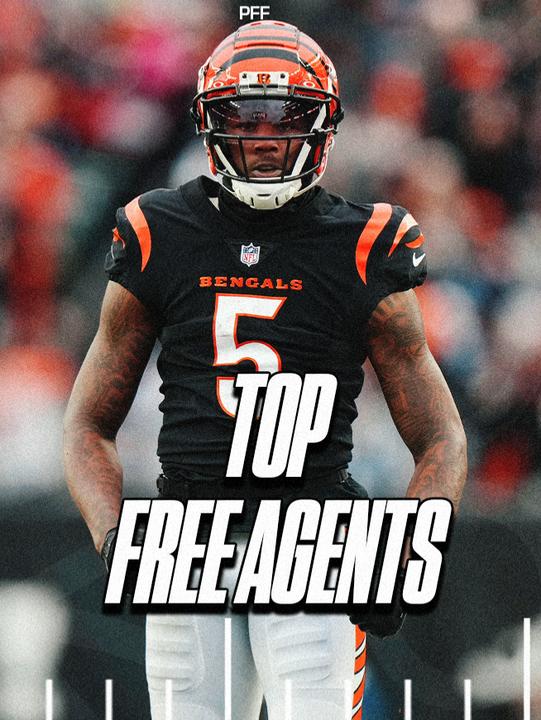 Daylon: The Hottest NFL Free Agent on the Market?