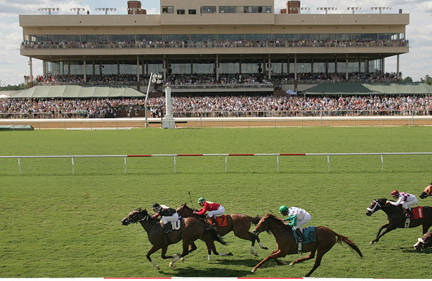 Check Out the VA Derby Race Results 9/7/2024 Now