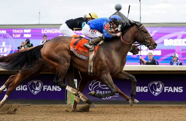 Codys Wish Horse: A Touching Story of Hope and Inspiration
