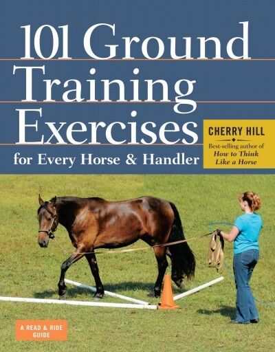 Horse Racing Workouts 101: A Beginners Guide to Training