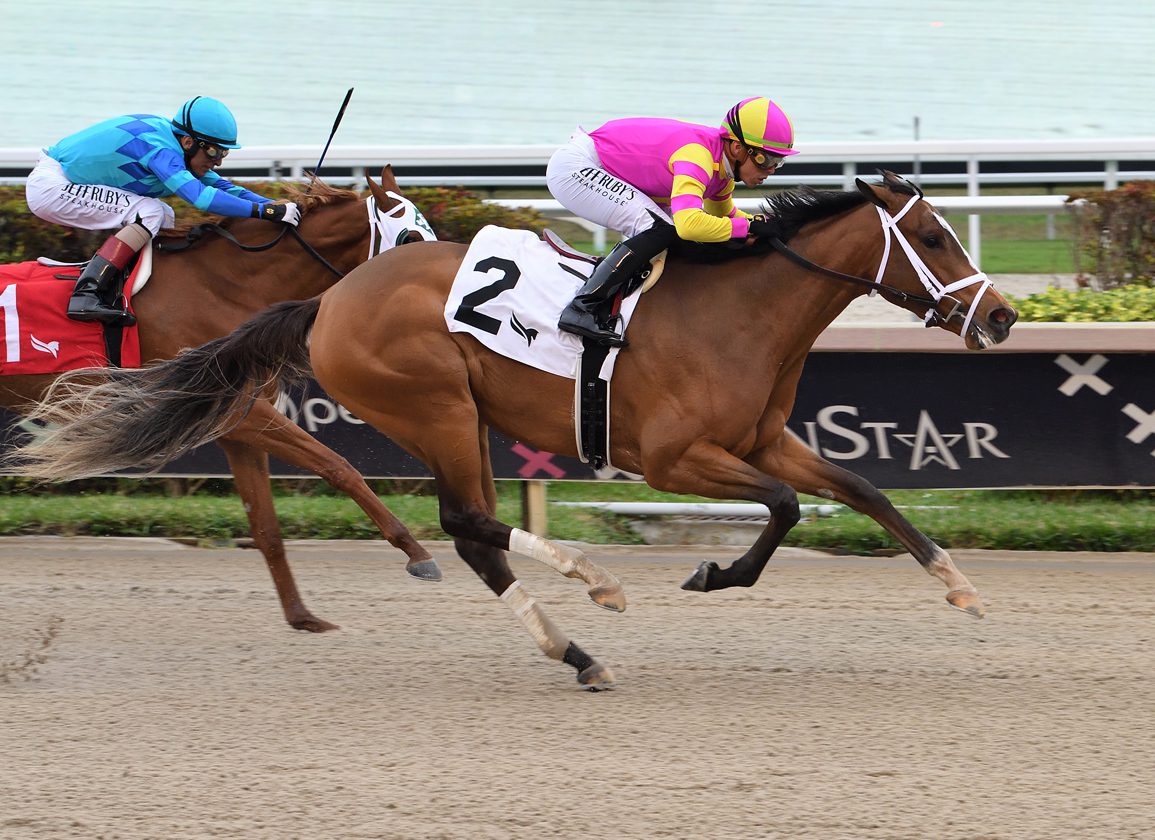 Leslies Rose Horse: A Comprehensive Guide to Care and Training