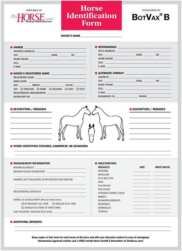 Creating a Detailed Horse Profile for Identification and Sale