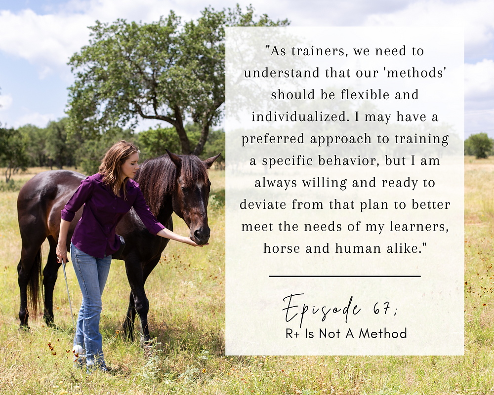 Defunded horse: Simple tips to understand this term.