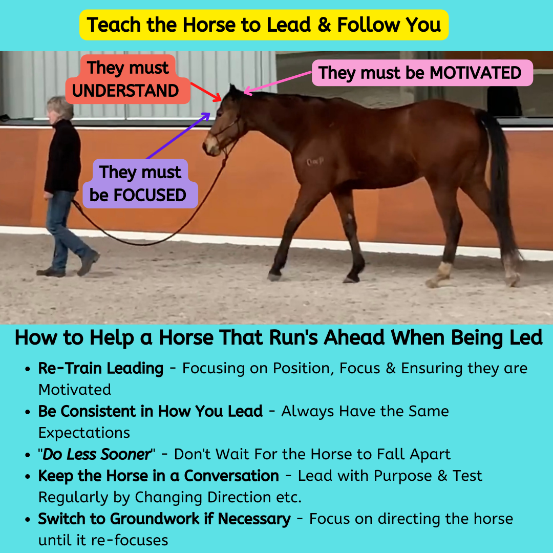 Defunded horse: Simple tips to understand this term.