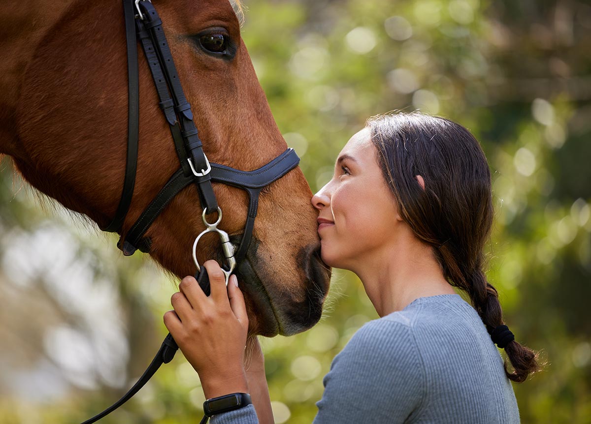 All About Smile Happy Horse: Easy and Effective Ways to Keep Your Horse Joyful!