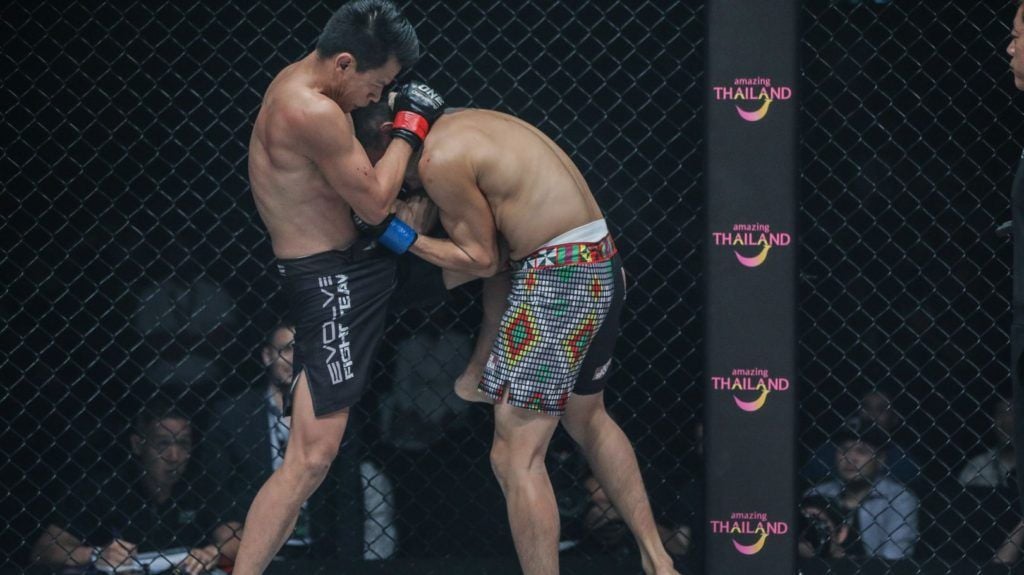 UDC Middleweight Cobra Kai: Is It the Best MMA Gear?