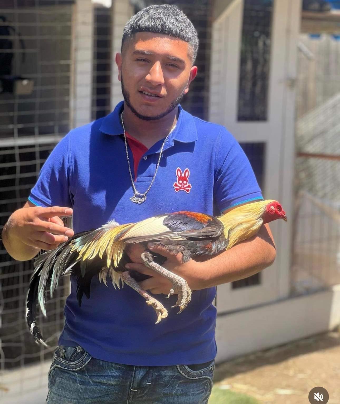Mario Navarro: Get the Latest News and Updates Here!