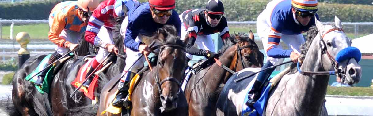 Charles Town Races Entries: Todays Full List & Quick Picks