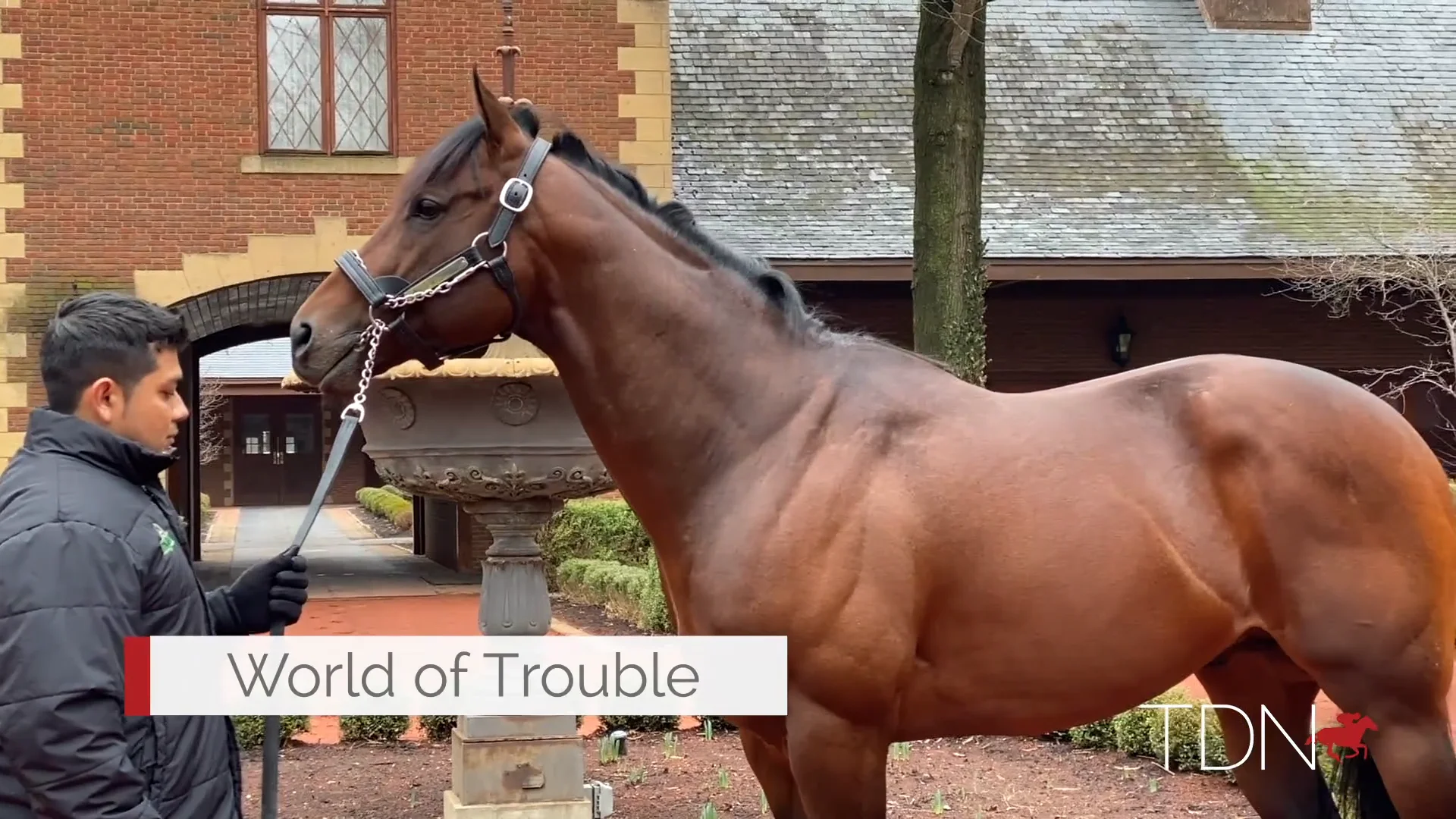 Dealing With World of Trouble Stallion? Check Out These Easy Troubleshooting Tips!