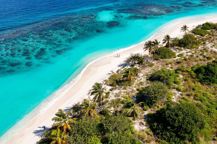Planning a Trip? dominican republic vs british virgin islands: Discover Which Caribbean Spot is Right for You.