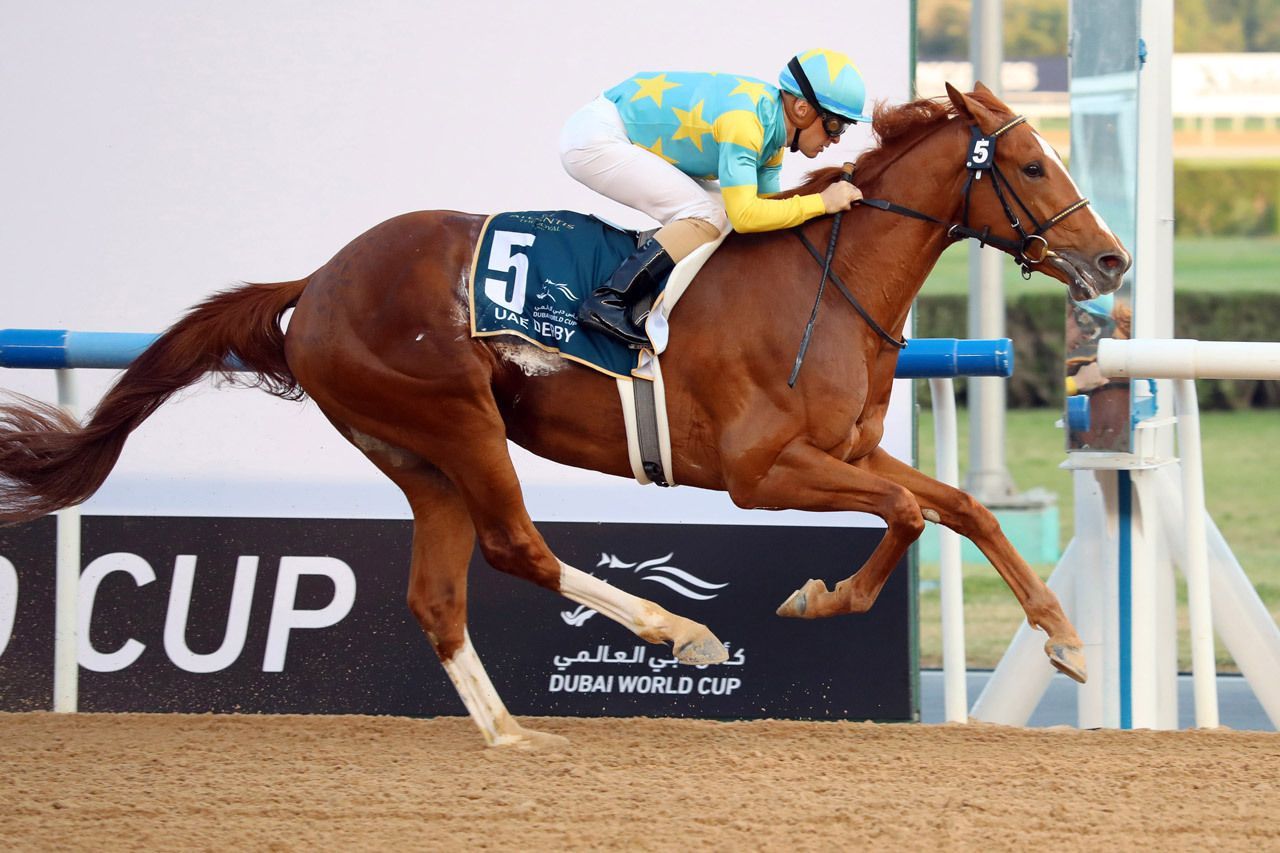Derma Sotogake Horse: Your Easy Guide to this Champion Racehorse