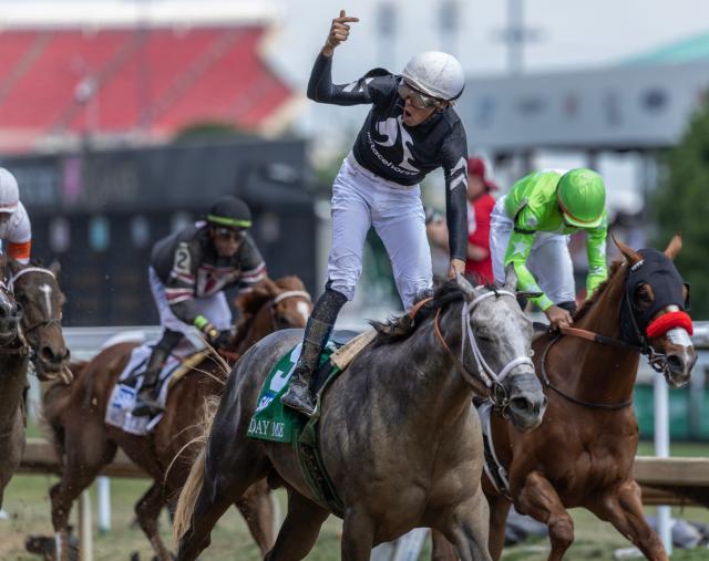Seize The Grey Horse Trainer - Learn How to Train Horses the Right Way (Must-Know Basics)