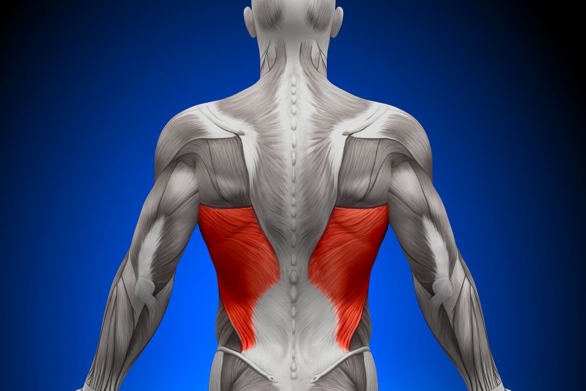 Understanding and Managing Latissimus Dorsi Muscle Pain