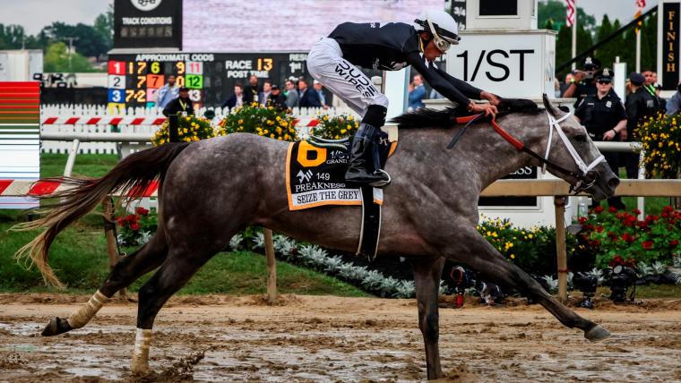 Seize The Grey Horse Trainer - Learn How to Train Horses the Right Way (Must-Know Basics)