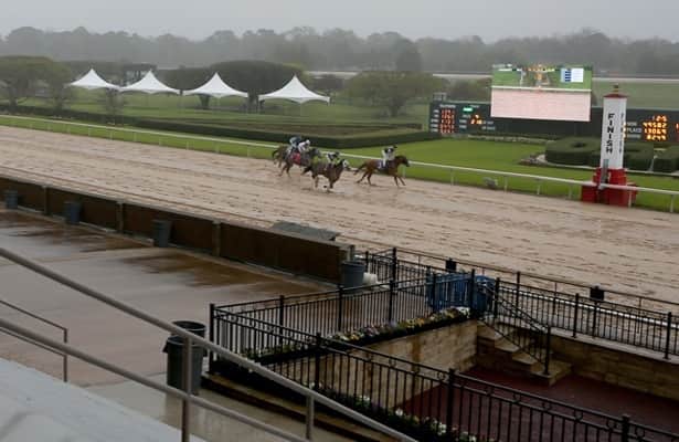 Oaklawn Park Scratches and Changes (Full List of Horses Not Competing Today)