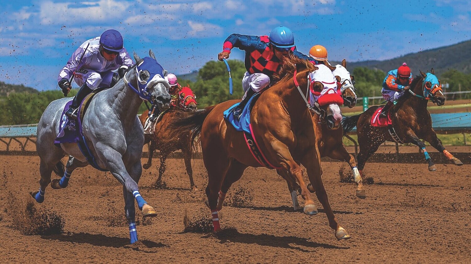 Ruidoso Downs Racetrack Entries: How to Get the Daily Race Card and Plan Your Bets