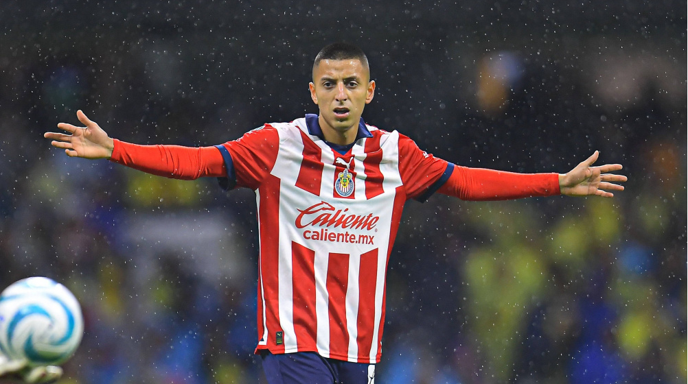 Looking for Roberto Alvarado Stats? Heres a Complete Breakdown