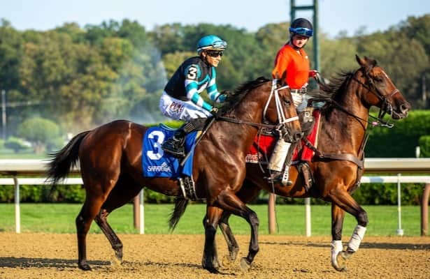 Curious about Nutella Fella Horse? Get the details on this odd trend everyone is discussing online!