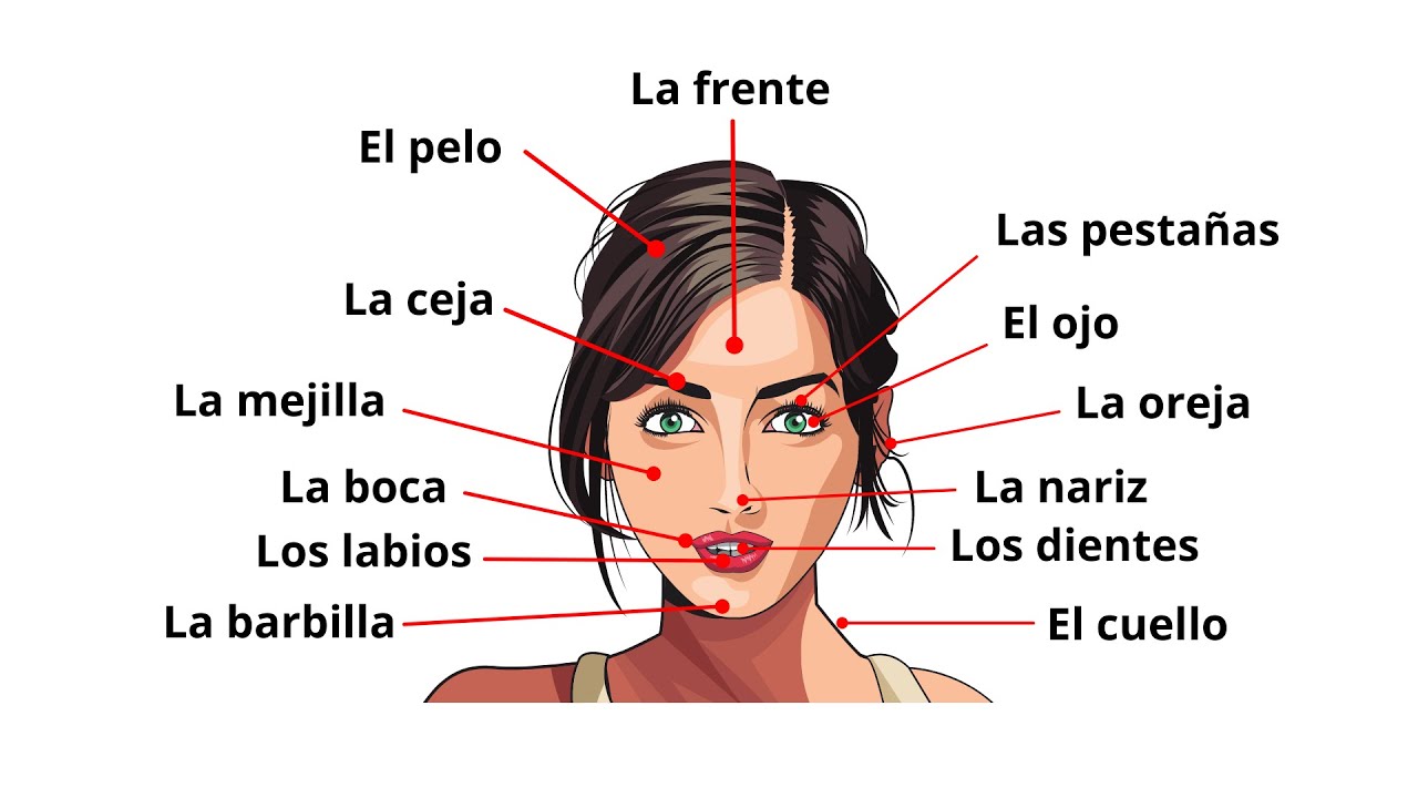 Understanding La Cara: A Simple Guide for Beginners