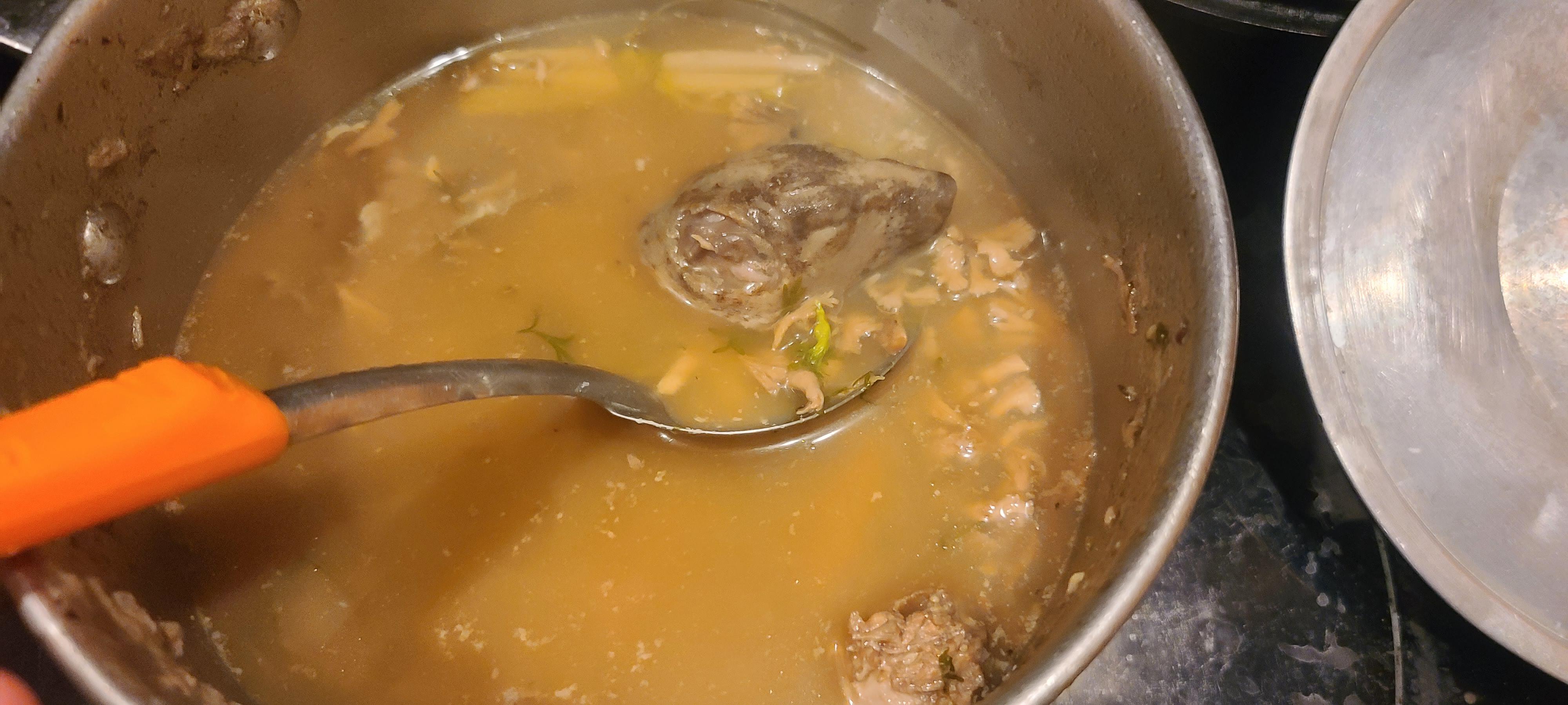 Did Americans Eat Squirrel? You Wont Believe What Else They Used to Cook Up Back in the Old Days.