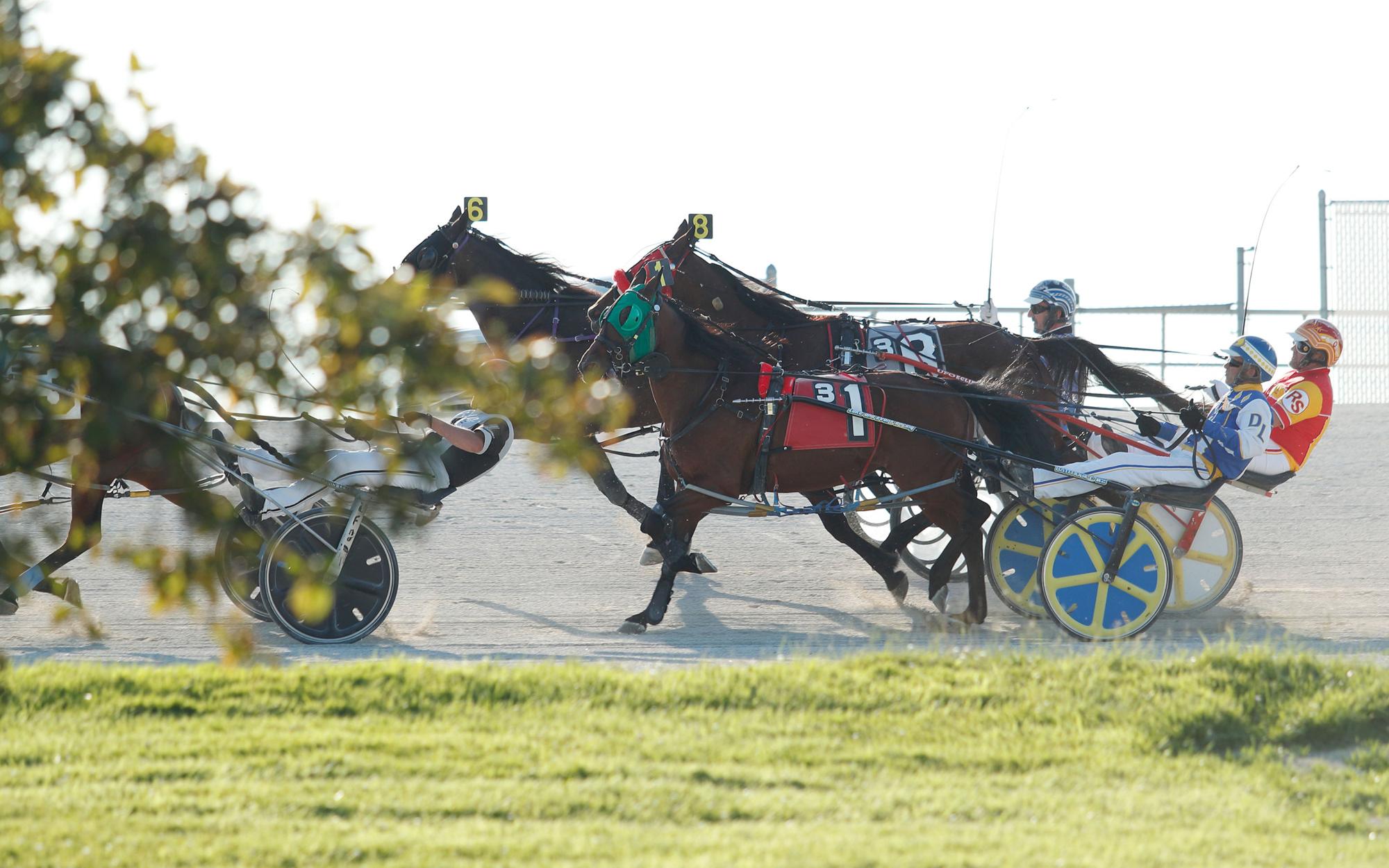 Northfield Park Entries and Results: Your One-Stop Shop for Race Day Details