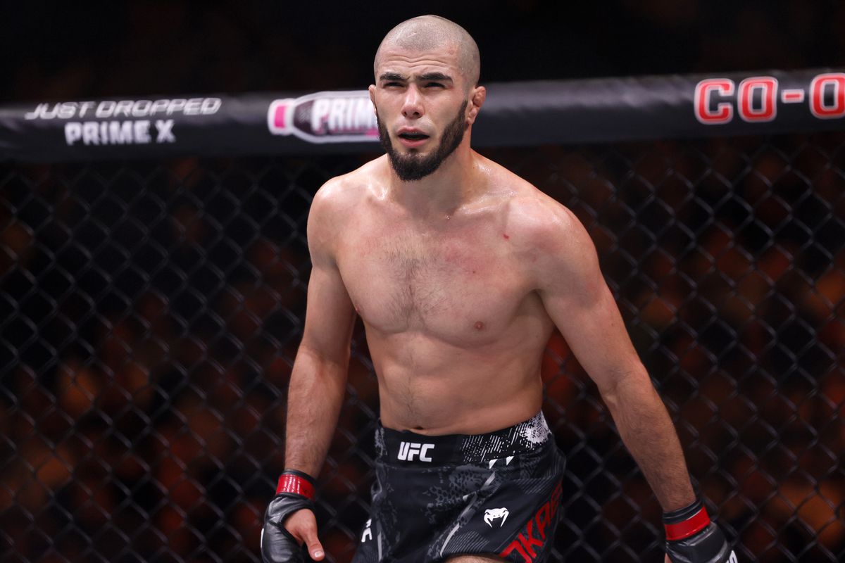 Highest Paid UFC Fighter Current 2024: Find Out Now!